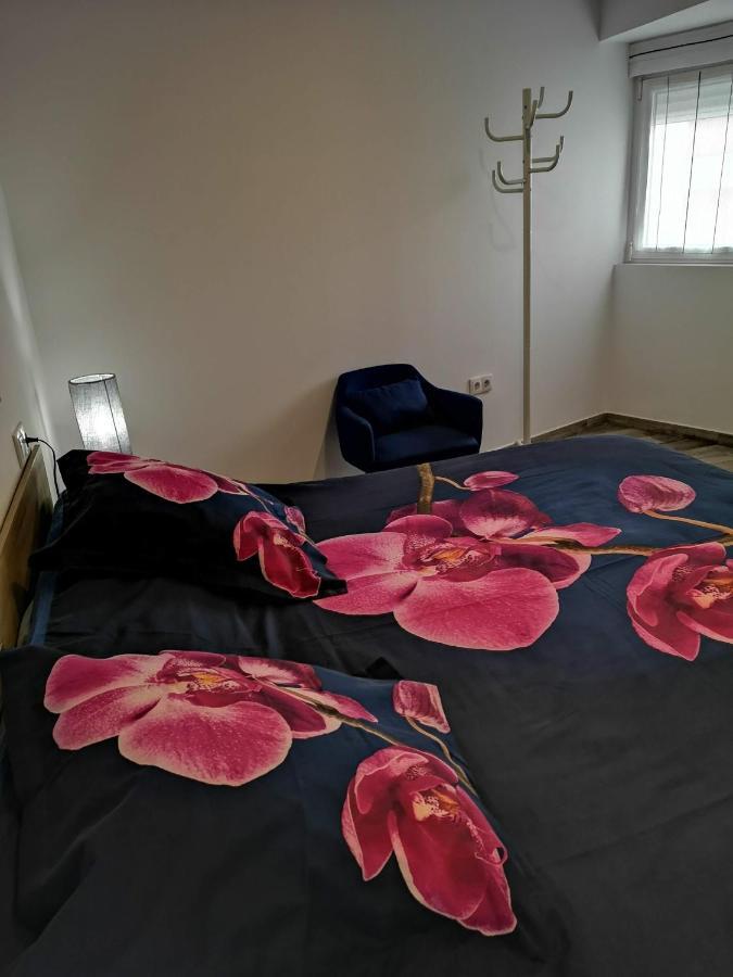 Apartamento Ibanez Benidorm Exteriér fotografie